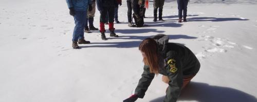 group examining snow