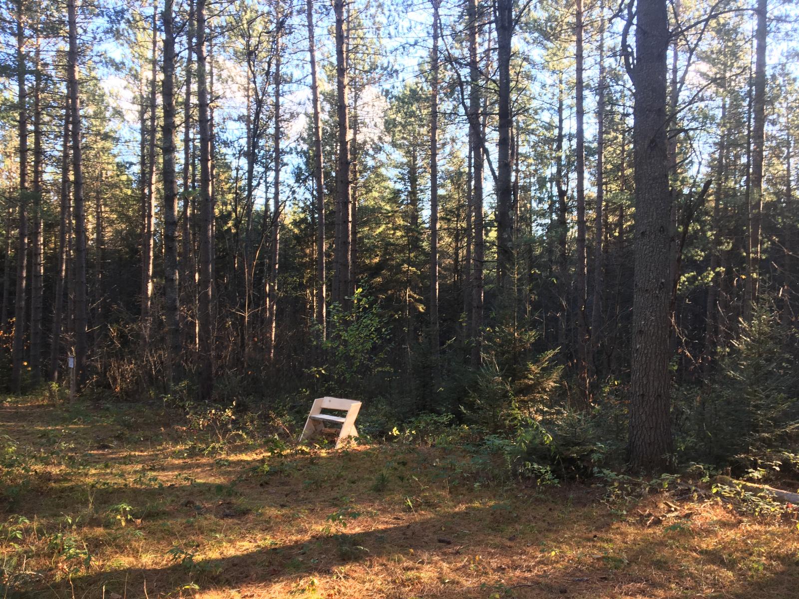 Leopold bench build at NorthWoods Stewardship Center, East Charleston, VT, in Fall 2018.