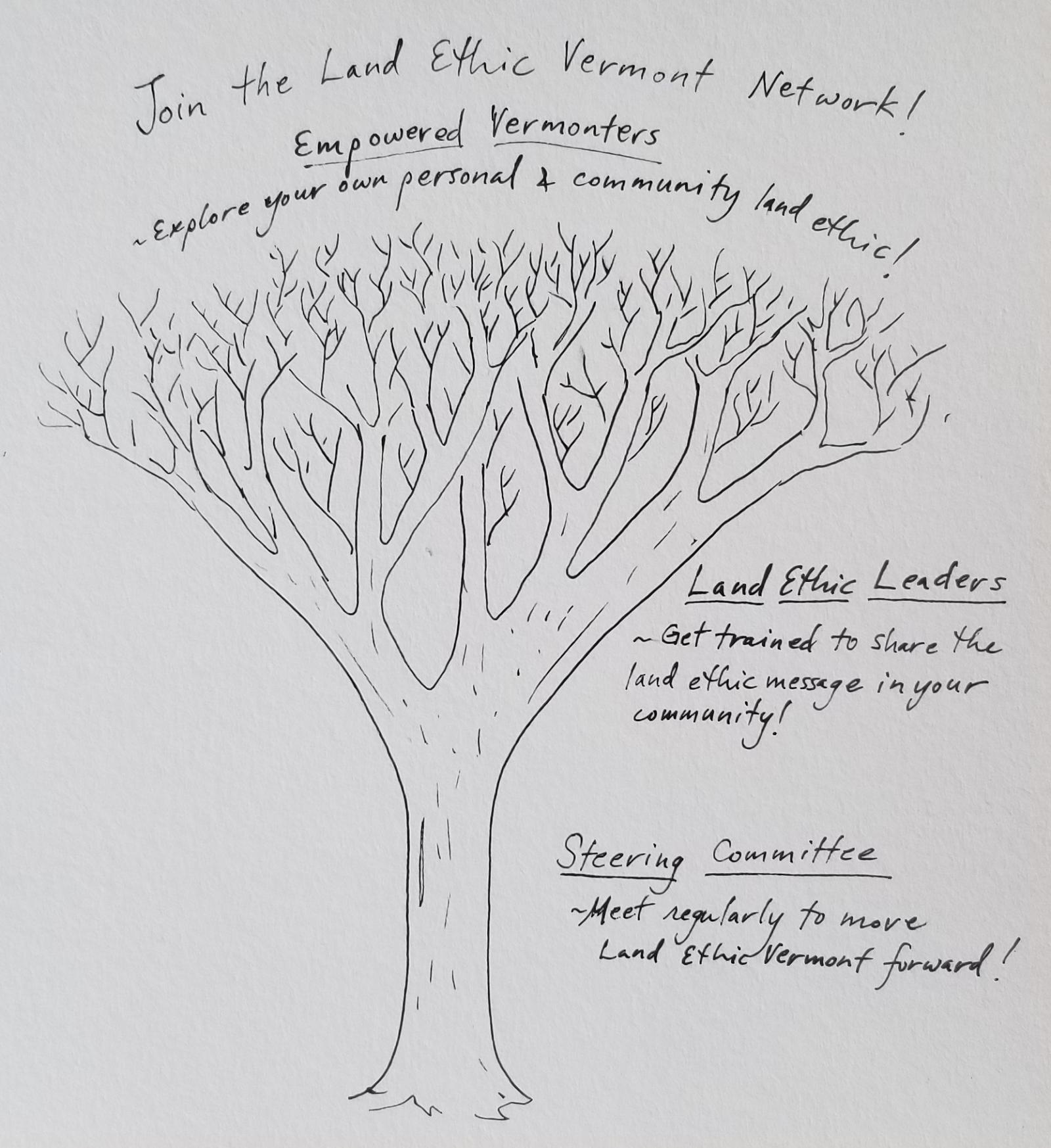 Tree drawing showing Steering Committee, Land Ethic Leaders, and network of empowered Vermonters