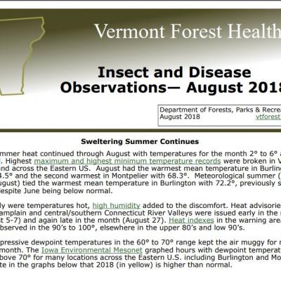 Front page of August Forest Health Update