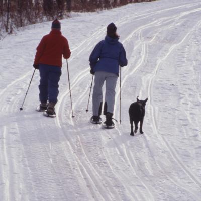 crosscountry skiers