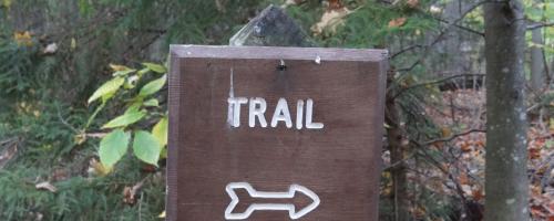 Trail sign with arrow