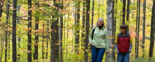 People walking through woods