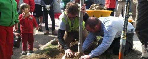 planting trees