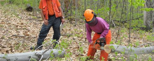 An instructor standing nearby while a chainsaw workshop participant saws a log on the ground.