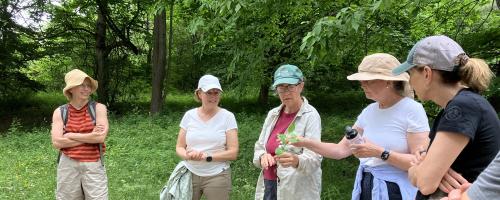 Women walking on a trail