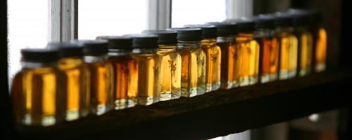 maple syrup in small jars