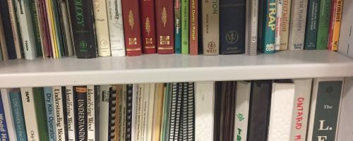 shelf with books